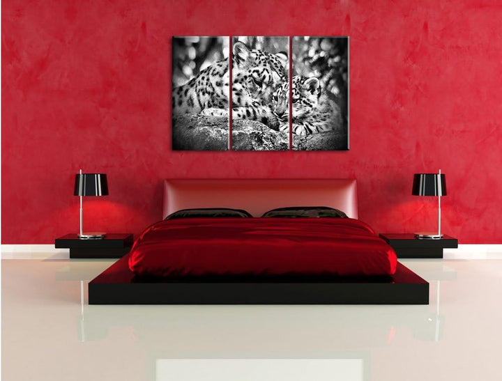 Pixxprint Leopard mit Jungtier als Leinwandbild/Grösse: 3 Teilig (120x80) / Wandbild/Kunstdruck/fert