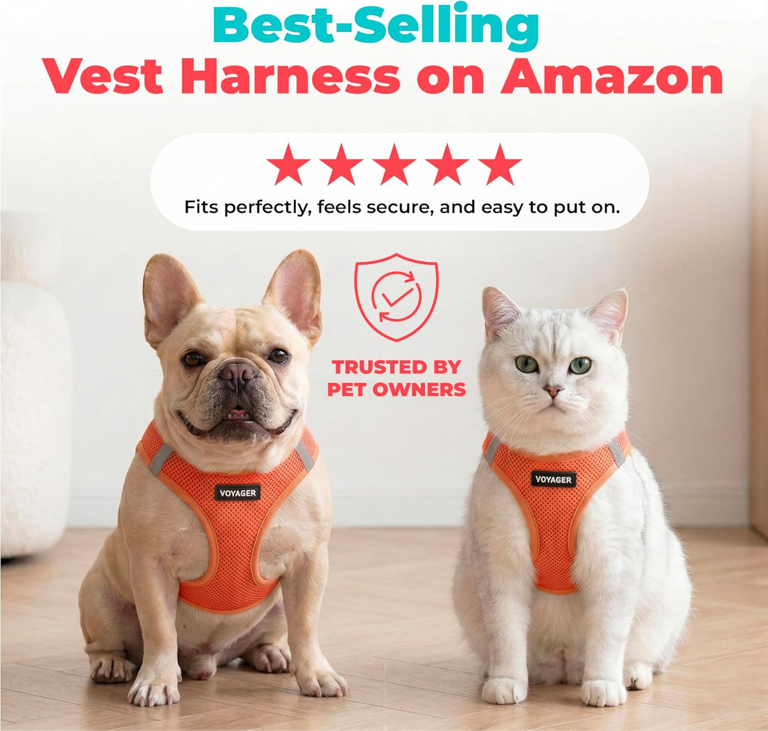 Best Pet Supplies Voyager Step-In Air Hundegeschirr â€“ Allwetter-Netzgewebe für kleine und mittelgr