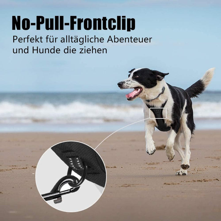 PoyPet No Pull Hundegeschirr, reflektierendes Westengeschirr mit 2 Leinenbefestigungen und einfachem