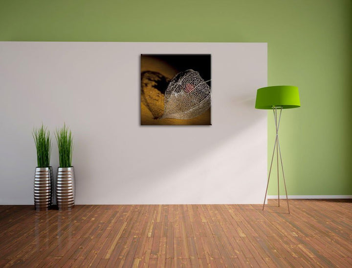 Schatten einer Physalis, Format: 70x70 auf Leinwand, XXL riesige Bilder fertig gerahmt mit Keilrahme