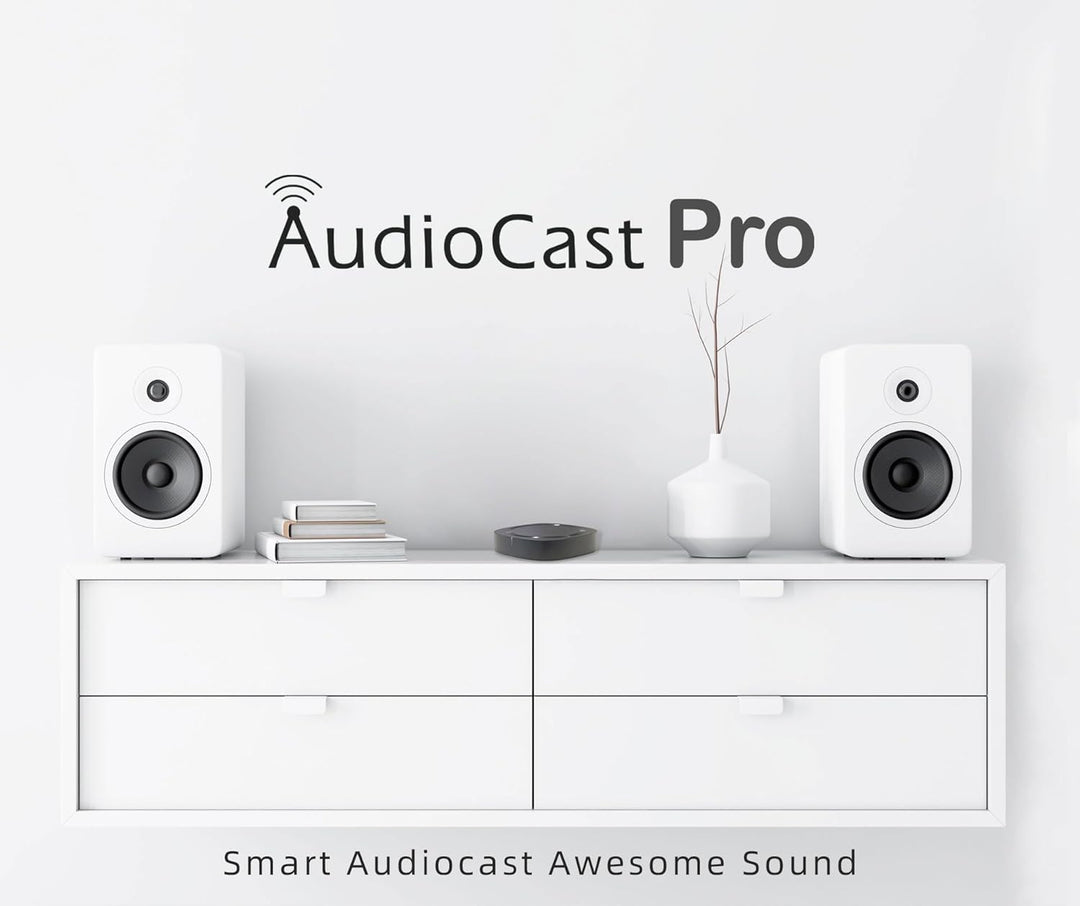 Audiocast Wireless WiFi Audio Receiver Multiroom Adaptor for Speaker Systems Convert Wired Speakers