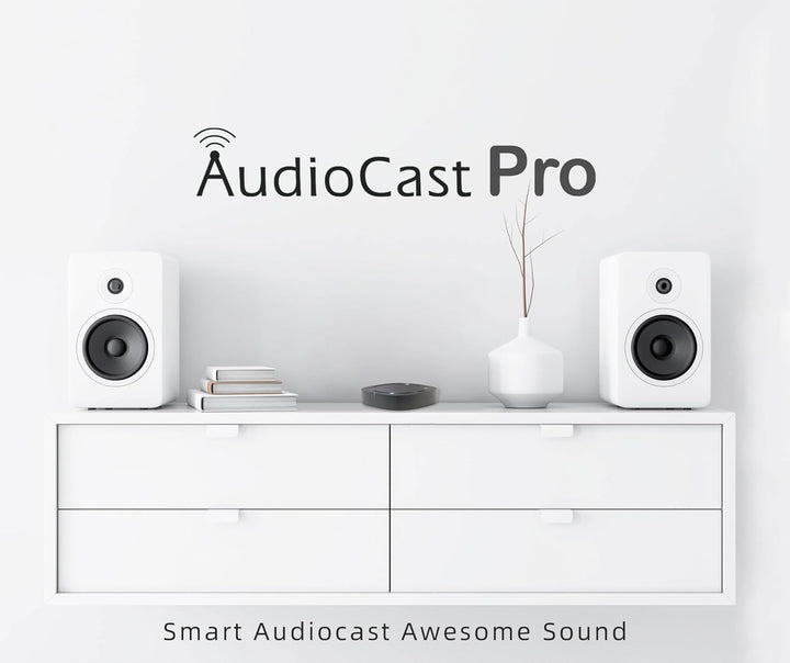 Audiocast Wireless WiFi Audio Receiver Multiroom Adaptor for Speaker Systems Convert Wired Speakers