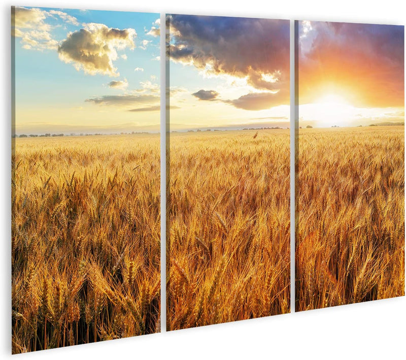 Bild Bilder auf Leinwand Sonnenuntergang über dem Weizenfeld Wandbild Poster Leinwandbild RBI 130x80