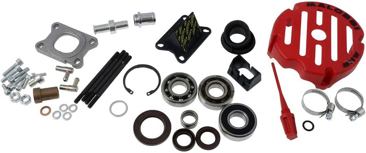 Malossi MHR C-one 5715844 Motorgehäuse kompatibel für Piaggio