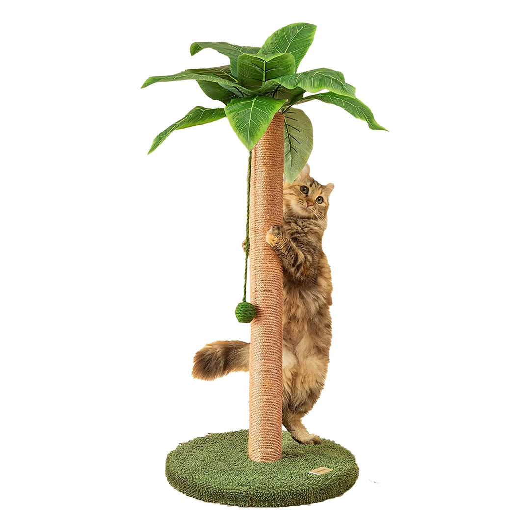 Kratzsäulen 84 cm niedlicher Katzenkratzer Kätzchen Kratzbaum mit Sisalseil für Wohnungskatzen Palme