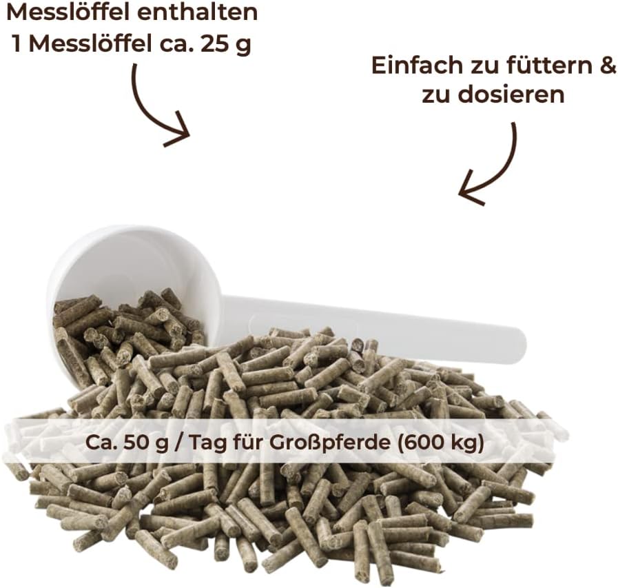 MIGOCKI Magnesium für Pferde Futterergänzung pelletiert 1,5 kg