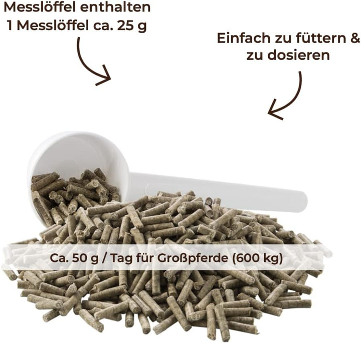 MIGOCKI Magnesium für Pferde Futterergänzung pelletiert 1,5 kg