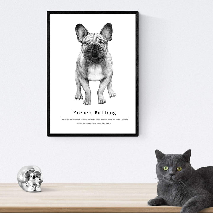 Nacnic Packung dePerros dekorative Poster descripcion.Láminas Hunderasse. A4-Format A4 Hundezucht-be