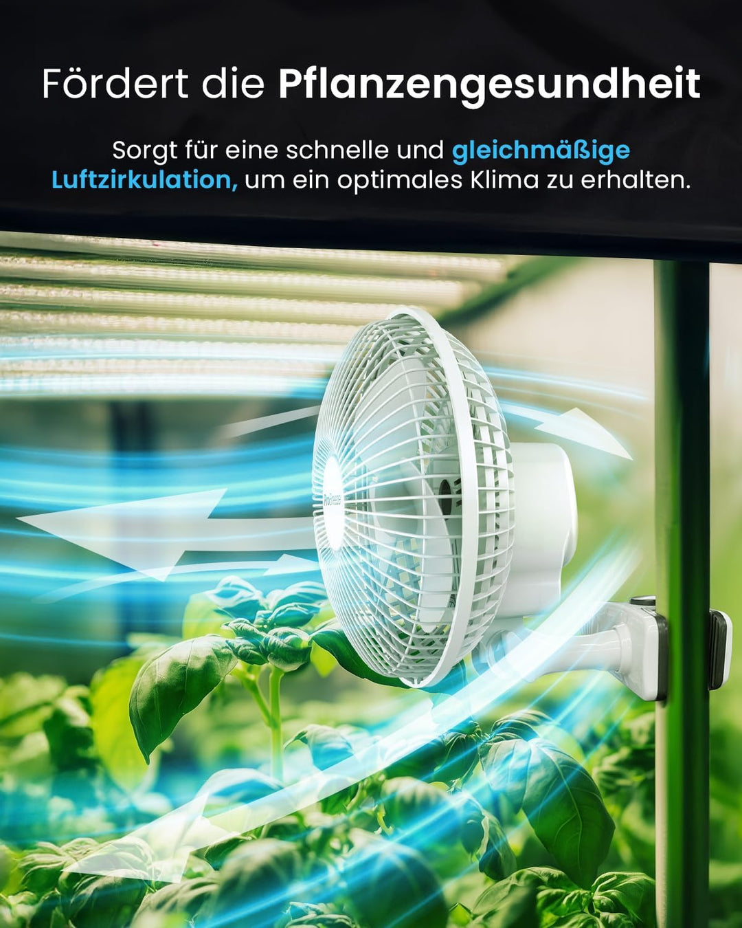 Pro BreezeTM Mini Ventilator mit Clip, sehr leiser Betrieb, 20 cm Durchmesser, 2 Geschwindigkeitsstu