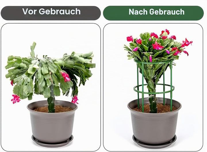 12 x Pflanzenstütze, halbrund, Pflanzenstützring, Gartenblumenstütze, Pflanzenstützpfähle für Tomate