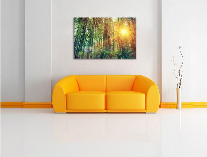 Pixxprint Wald bei Sonnenlicht als Leinwandbild | Grösse: 100x70 cm | Wandbild | Kunstdruck | fertig
