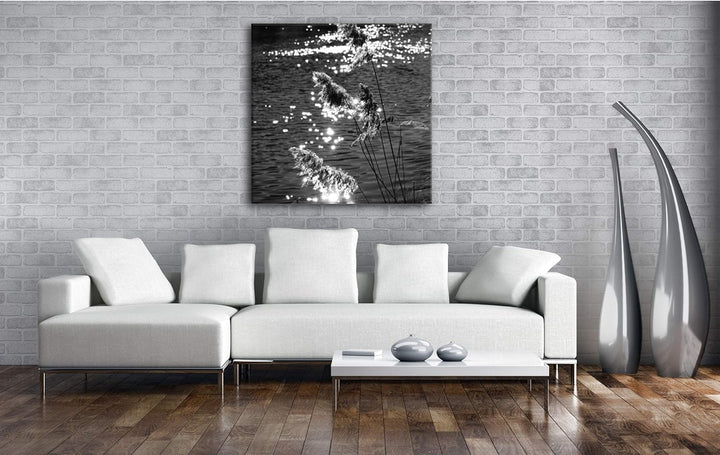 deyoli Schilf mit schimmernden Wasser im Format: 70x70 Effekt: Schwarz&Weiss als Leinwandbild, Motiv