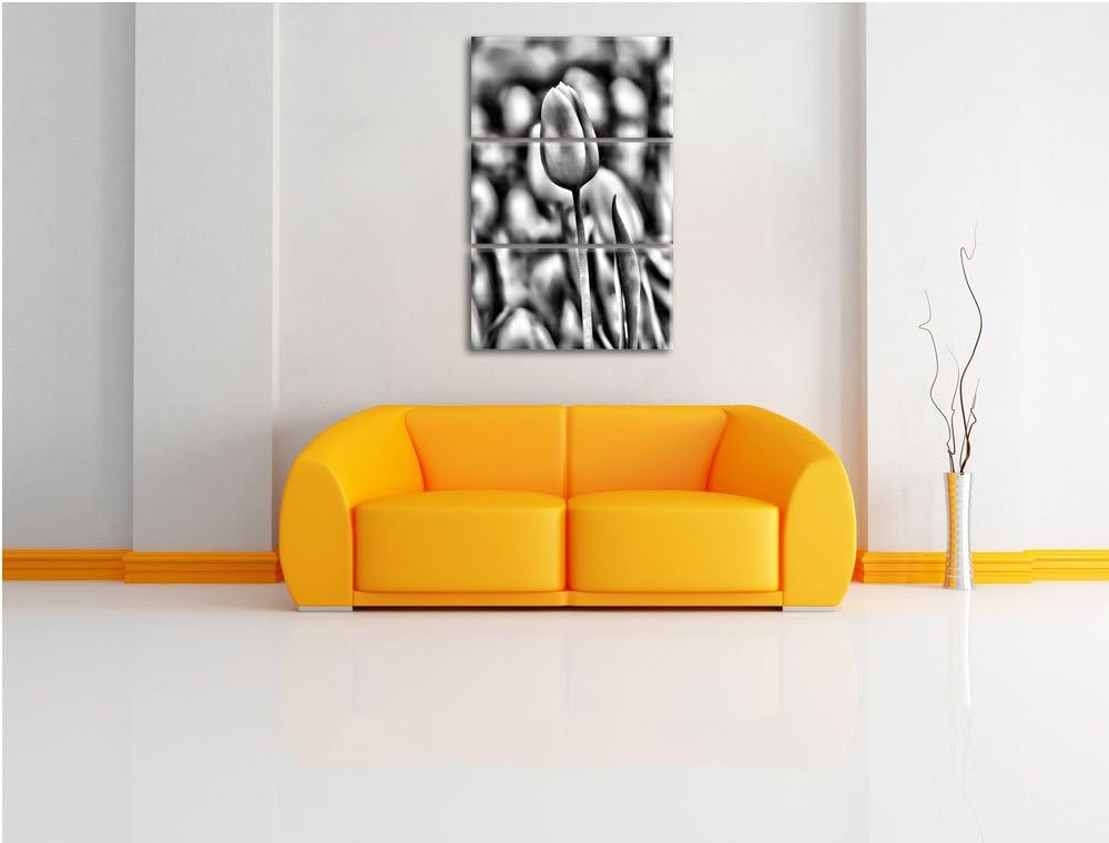 Pixxprint Gelbe Tulpen im Frühling als Leinwandbild/Grösse: 3 Teilig (120x80) cm/Wandbild/Kunstdruck