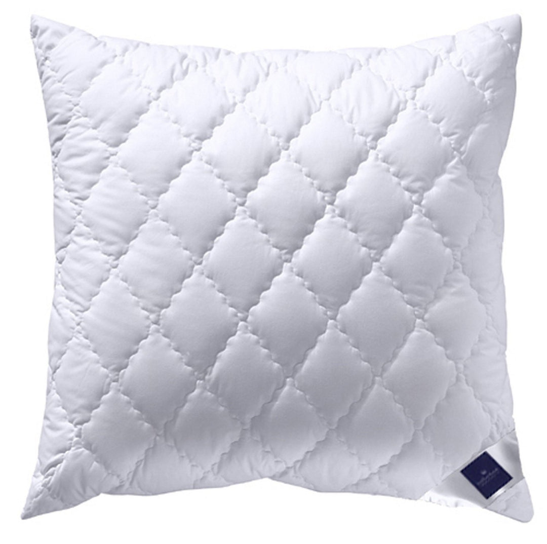 Billerbeck 5453290007 Naturkissen E45 Bamboo Kissen, 80 / 80 cm champagner 80 x 80 cm Champanger, 80