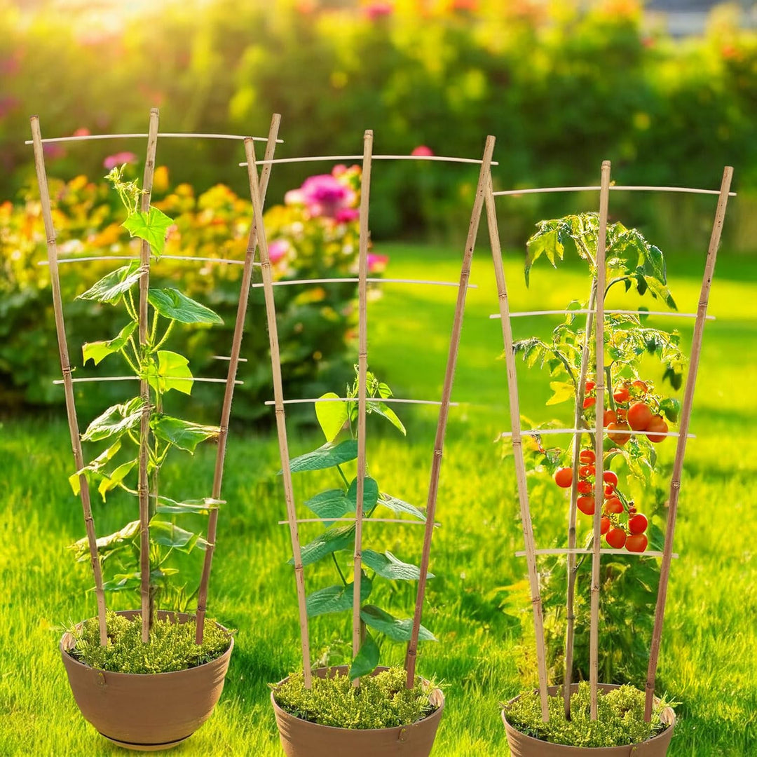 Bambus Rankgitter 75 x 35 cm Natur - 6er Set - Holz Kletterhilfe konisch für Rankpflanzen – Garten P