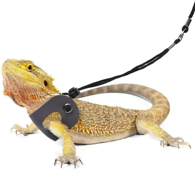 Tragetasche für Kleintiere, kleine Tiertasche für Bartagamen, Eidechsen und Reptilien, mit verstellb