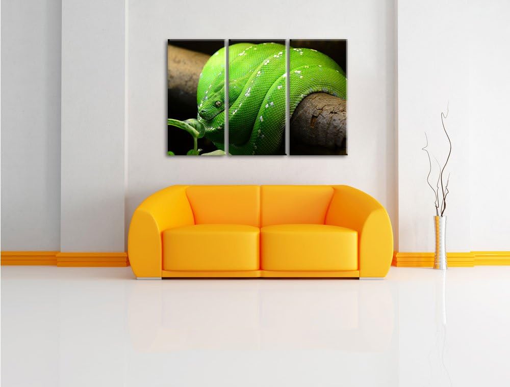 Pixxprint Grüne exotische Schlange als Leinwandbild/Grösse: 3 Teilig (120x80 cm) cm/Wandbild/Kunstdr