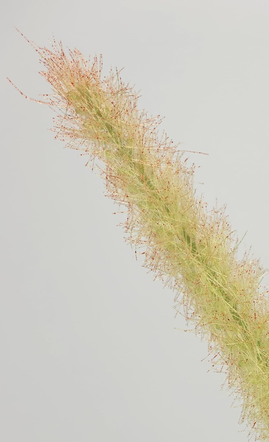 Künstliches Fuchsschwanzgras im Topf Gras Kunstpflanze Kunstgras Ziergras Grünpflanzen Dekogras Gras