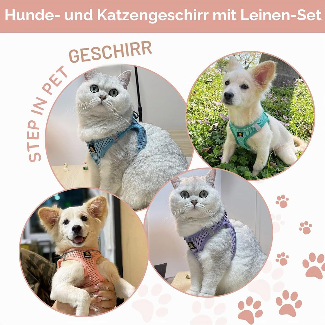 BELLA &amp; PAL Hundegeschirr Kleine Hunde mit Leine, Step-in Geschirr aus Air Mesh, Anti Zug Reflektier