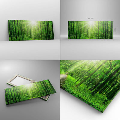 Panorama Bilder auf Leinwand 100x40cm Leinwandbild Sonnenstrahlen Wald Sommer Gross Wanddeko Bild Sc