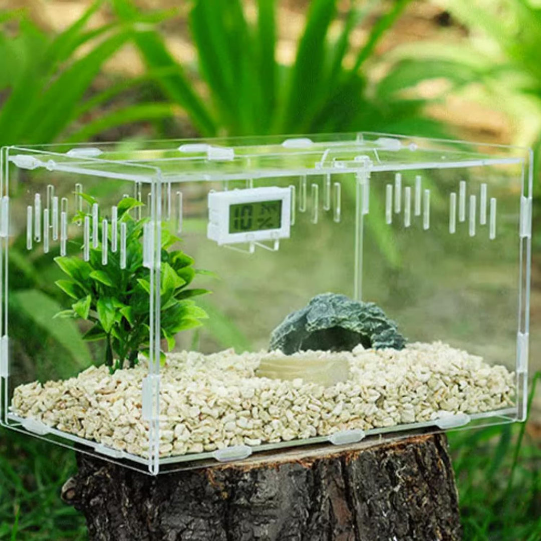 Reptile Fütterungsbox,Acryl Transparent Transport Box,Geeignet für Eidechsen, Spinnen, Hornfrösche u