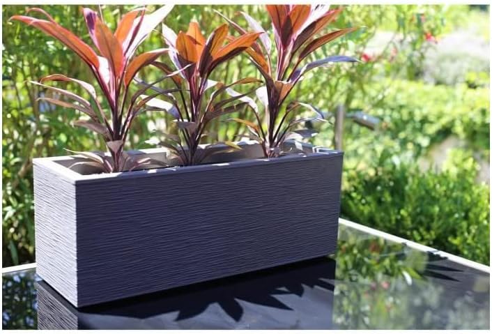 EDA Blumenkasten Graphit – Anthrazit – 59 x 19,5 x 22,8 cm 25 l Kunststoff – innen und aussen