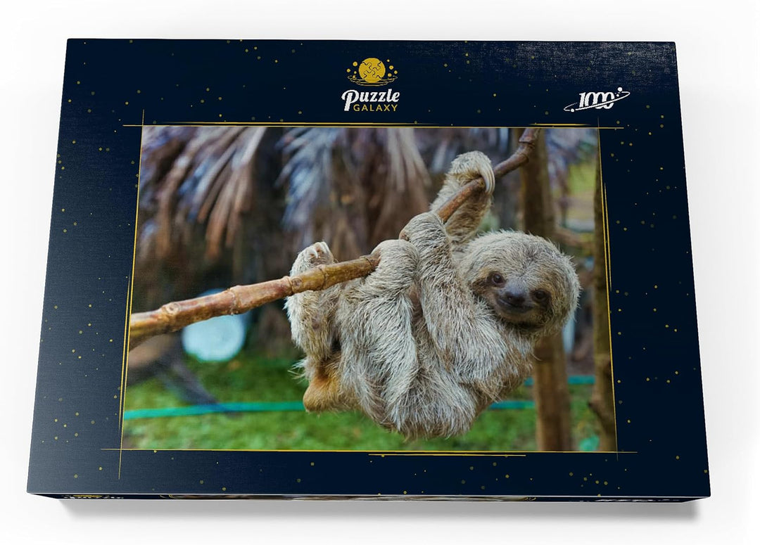 Faultiere im San Jose Rettungszentrum, Costa Rica - Premium 1000 Teile Puzzle - MyPuzzle Sonderkolle