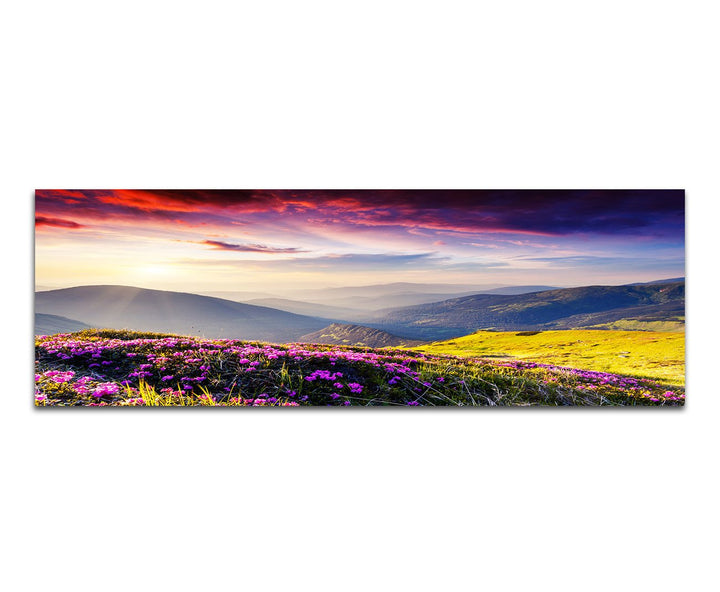 Paul Sinus Art Panoramabild auf Leinwand und Keilrahmen 120x40cm Ukraine Blumenwiese Berge Abendsonn