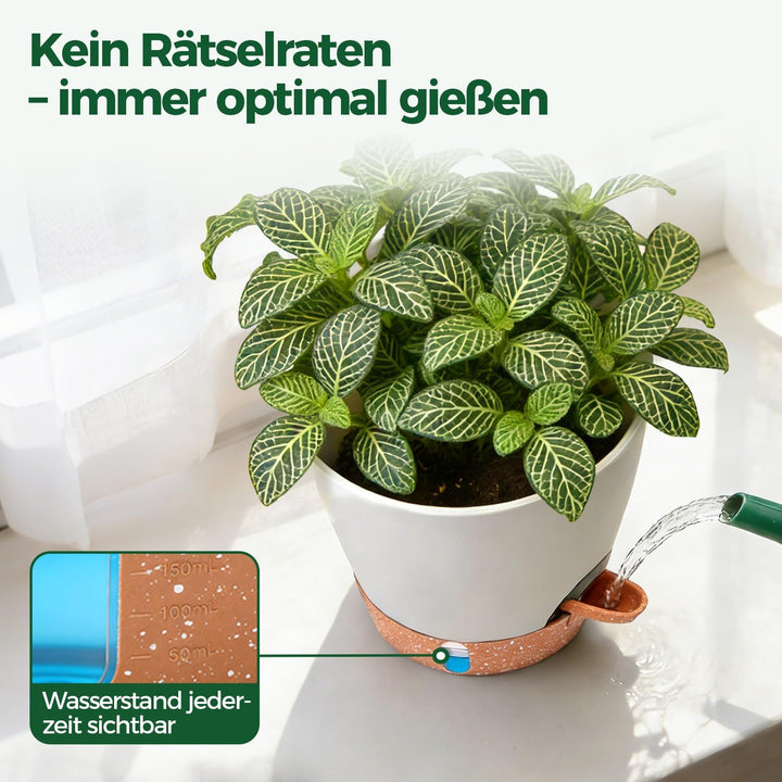 T4U 2er Set Automatische Bewässerung Übertopf 20 cm Durchmesser, Kräutertopf Küche, Kräutertöpfe – g