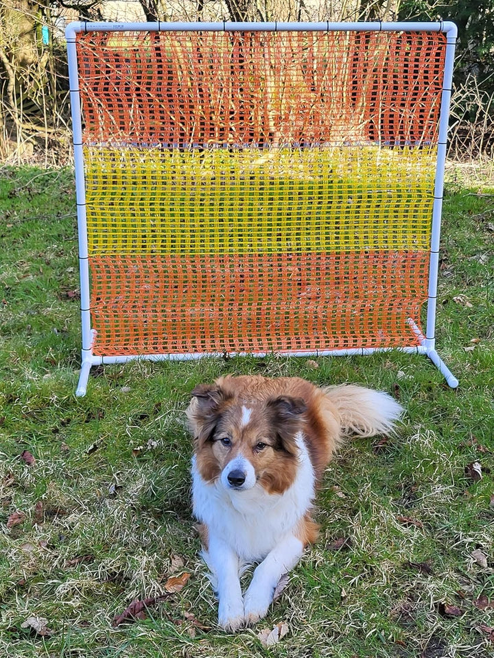 2er Set HOOPERS Agility Zaun/FCI-KONFORM/gelb/orange/Gate/Gatter/Trennzaun, PVC, NADAC Hoopers