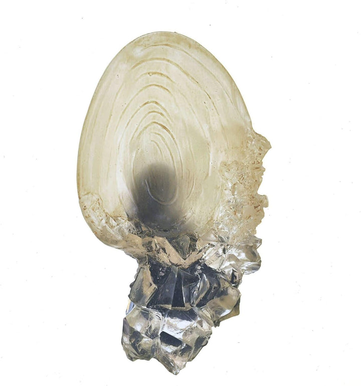 The Noble Collection France Noble Collection  Der Kristallbecher aus der Höhle, NN1009, Weiss