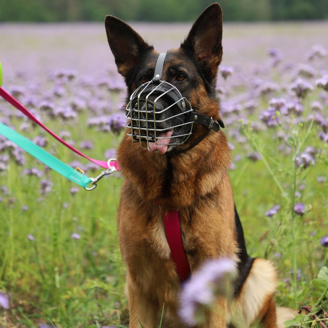 Dingo Mettal Maulkorb Nr.9a Drahtmaulkorb befindet Sich kein Kunststoffgitter.für Hundetraining Hand
