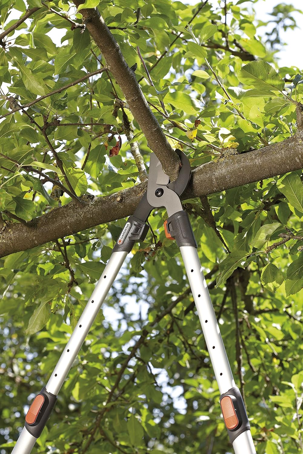 Gardena 1.6 Inch Cortarramas, Standard, 65 x 90 cm 65 - 90 cm Comfort Teleskop 650 BT Single, 65 - 9
