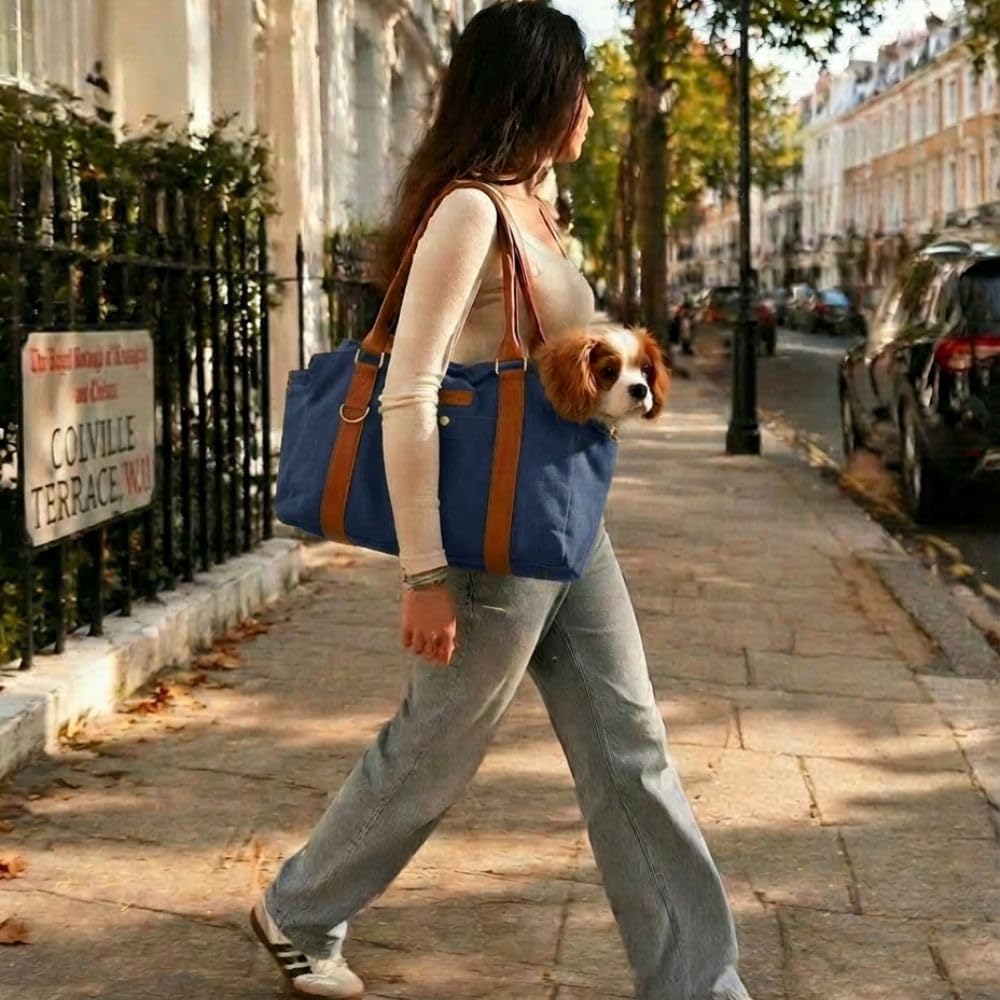 Jane Hundetasche Blau – Stilvolle Hundetransportbox für kleine Hunde bis 8 kg, Faltbare Transportbox