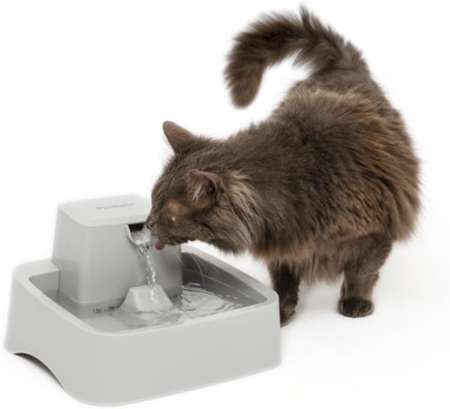 PetSafe Drinkwell Haustierbrunnen, 1/2 Gallon | Freifall-Wasserstrom, Anpassbarer Wasserfluss, Förde