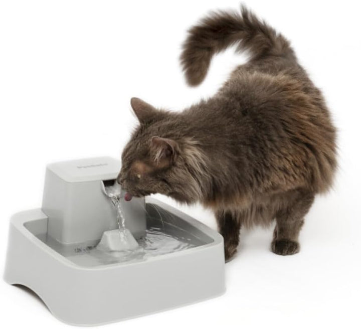 PetSafe Drinkwell Haustierbrunnen, 1/2 Gallon | Freifall-Wasserstrom, Anpassbarer Wasserfluss, Förde