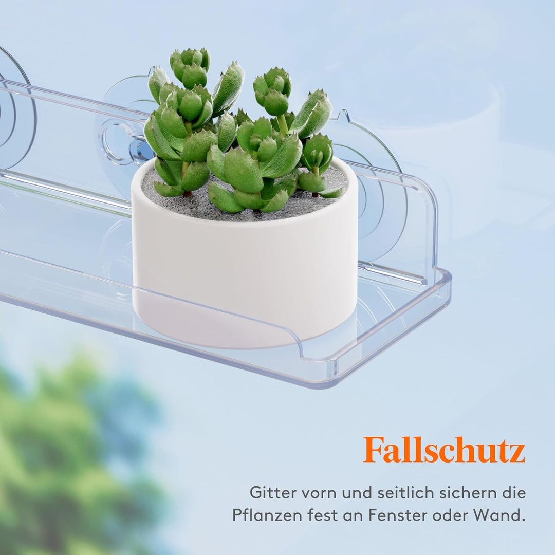 Lifewit Fenster Pflanzenregale, 3 Stück, 38cm, Transparent Regal Saugnapf, Fensterwand Pflanzenständ