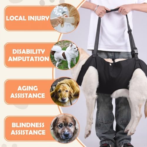 Hunde Tragehilfe, Tragehilfe Hund Treppe Verstellbare Gehhilfe für Hunde, Hundeliftgeschirr für Hint