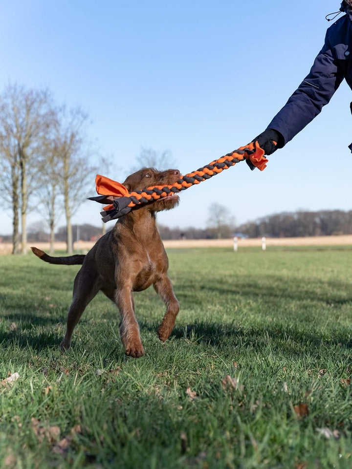 TrendPet Zergel, Zerrspielzeug, Spielzeug für Hunde (5,0x50cm), 5,0x50cm
