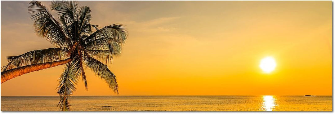 Augenblicke Wandbilder Leinwandbild als Panorama in 150x50cm Strand Meer Palme Sonnenuntergang