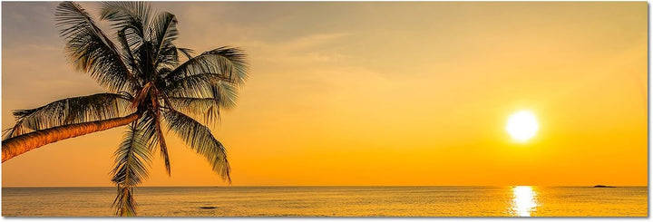 Augenblicke Wandbilder Leinwandbild als Panorama in 150x50cm Strand Meer Palme Sonnenuntergang