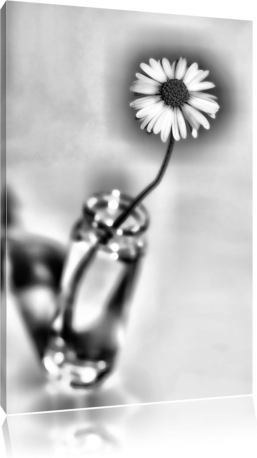 Pixxprint kleines Gänseblümchen im Glas / 100x70cm Leinwandbild bespannt auf Holzrahmen/Wandbild Kun