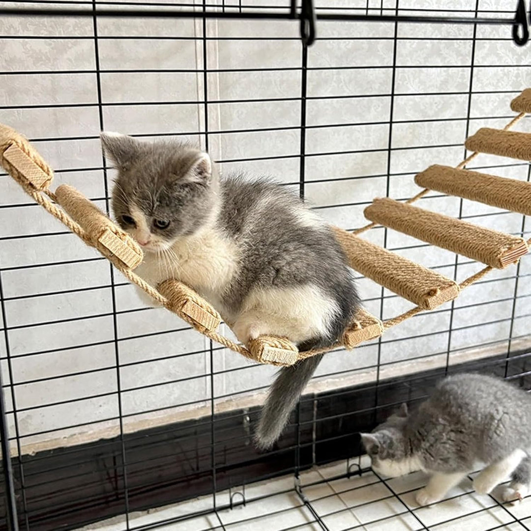 Katzenleiter, Katzenleiterbrücke für Wand Sisalseil Klettergerüst Kletterwand Katzen Aktivitätskratz