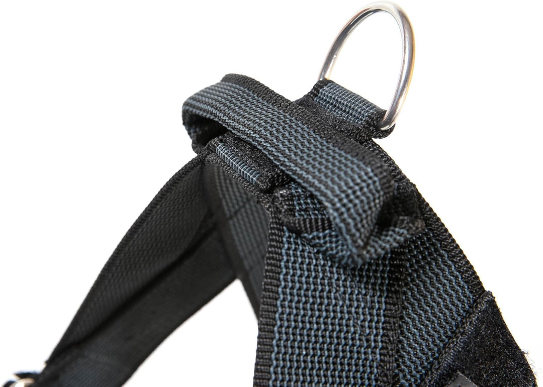 JULIUS K-9, Color &amp; Gray, Beltgeschirr, L / 1 L / 1 schwarz-grau, L / 1 schwarz-grau