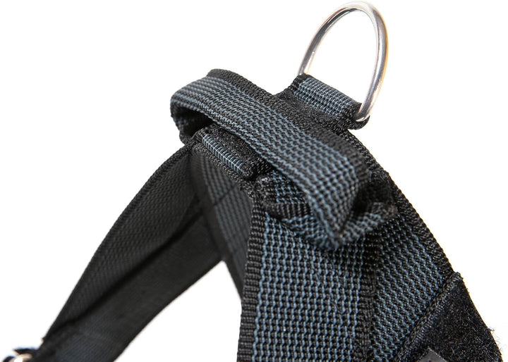 JULIUS K-9, Color &amp; Gray, Beltgeschirr, L / 1 L / 1 schwarz-grau, L / 1 schwarz-grau
