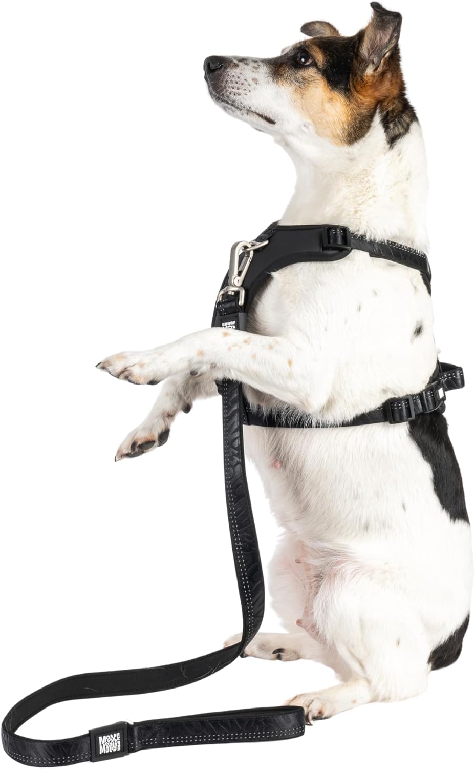 Max & Molly Sport Hundegeschirr Grosse Hunde mit Gotcha! Smart ID Sicherheitsanhänger, Matrix 2.0 Sc