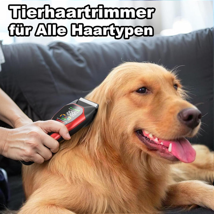 Hundeschermaschine mit Typ-C-Ladung, Profi Schermaschine Hund Katze, 2-Gang Elektrische Tierhaarschn