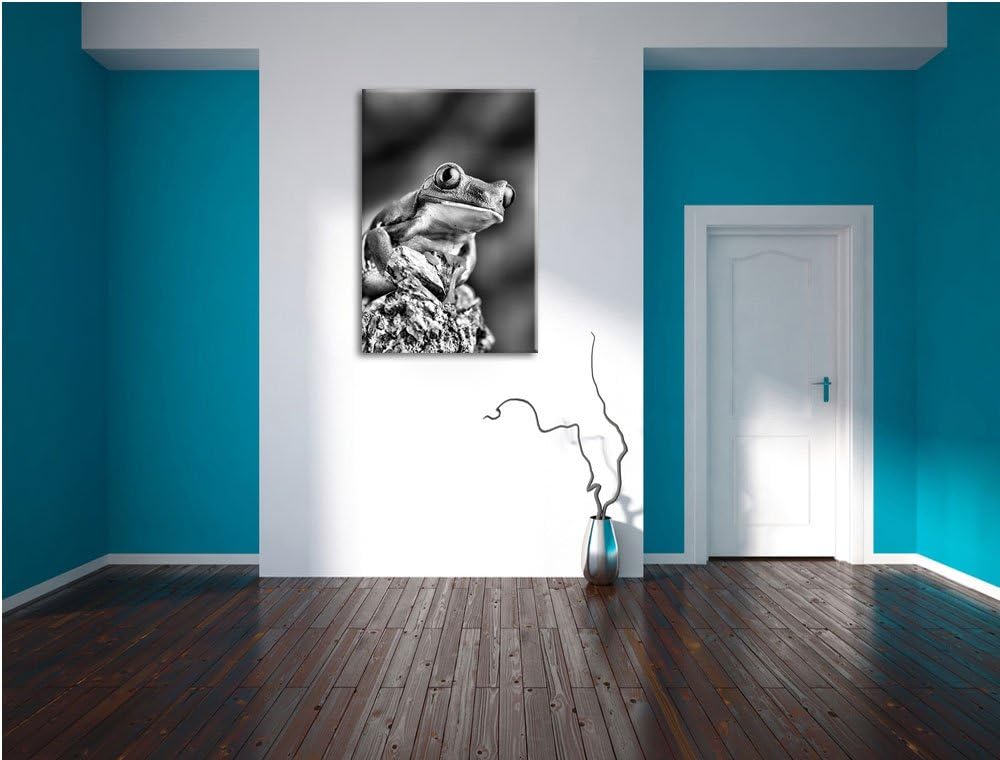 Pixxprint Grüner Rotaugen Frosch als Leinwandbild/Grösse: 100x70 / Wandbild/Kunstdruck/fertig bespan