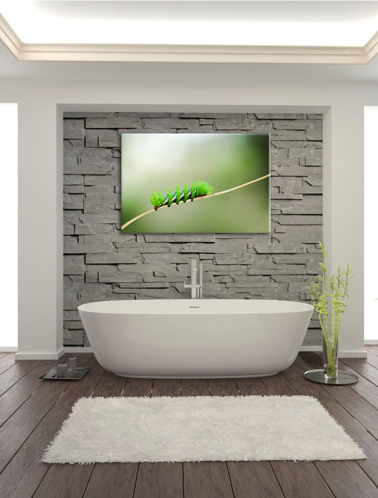 Pixxprint seltene grüne Raupe auf Leinwand, XXL riesige Bilder fertig gerahmt mit Keilrahmen, Kunstd