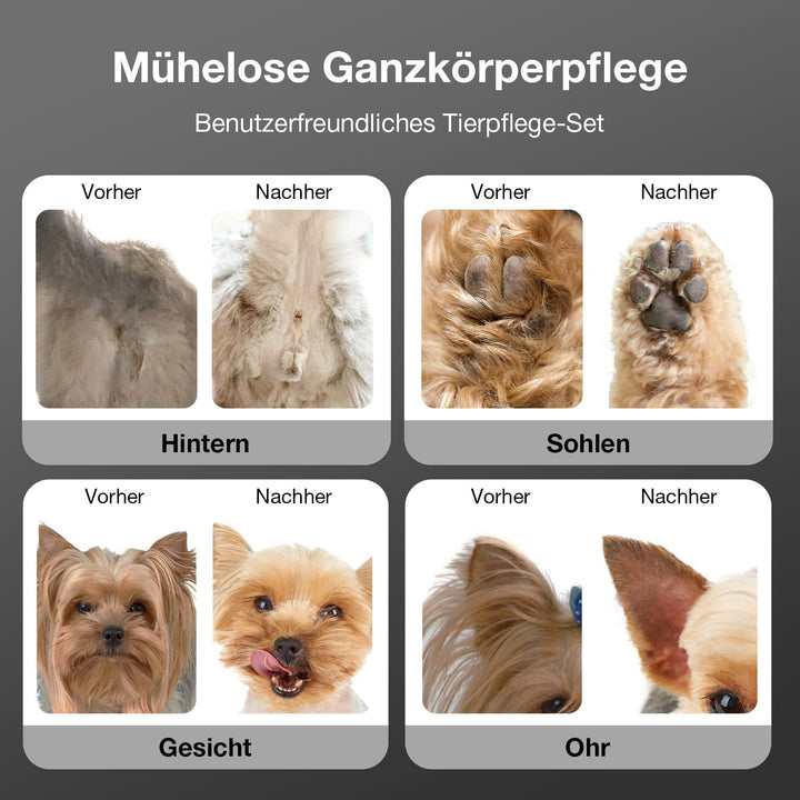 Hundeschermaschine 3 in1 Set, Schermaschine Hund Haarschneidemaschine für Dichtes Verfilztem Fell,Le